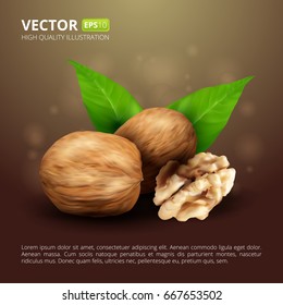 Realistic walnuts with leaves on brown background. Vector illustration with place for text and logo