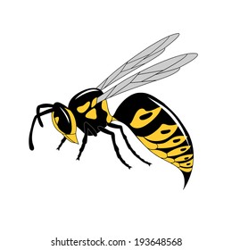 realistic wasp