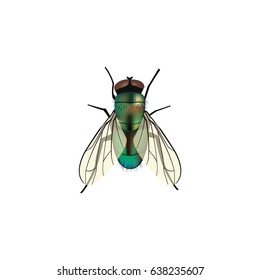 Realistic Wasp Element. Vector Illustration Of Realistic Housefly Isolated On Clean Background. Can Be Used As Jewel, Wasp And Housefly Symbols.