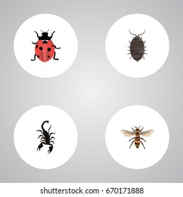 Realistic Wasp, Ladybird, Dor And Other Vector Elements. Set Of Bug Realistic Symbols Also Includes Ladybird, Ladybug, Insect Objects.