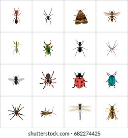 Realistic Wasp, Ladybird, Locust And Other Vector Elements. Set Of Bug Realistic Symbols Also Includes Sting, Dragonfly, Midge Objects.