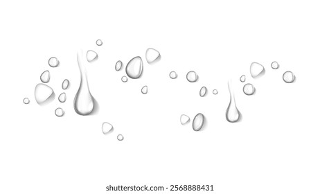 realistic water drop and condensation vector