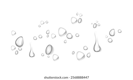 realistic water drop and condensation vector
