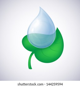 realistic water drop on a green leaf on a white background