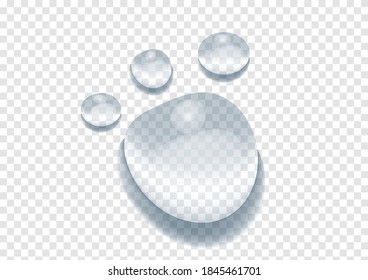 realistic water drop vectors isolated on transparency background ep58