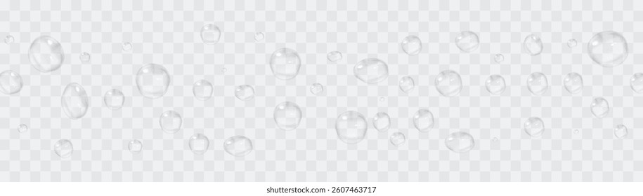 Realistic water droplet texture with scattered rain, splashes, and condensation. Transparent vector design featuring drips, dew, and moisture – perfect for skincare, drink ads, or clean, fresh effects