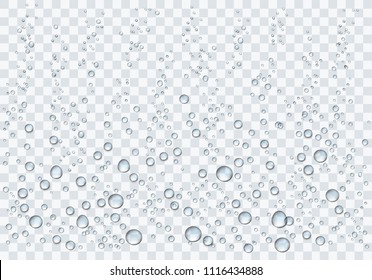 Realistic Water Droplets On The Transparent Background. Vector Illustration