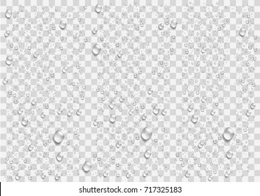 Gotas de agua realistas sobre el fondo transparente. Vector