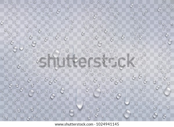 Realistic Water Droplets On Transparent Window Stock Vector Royalty Free