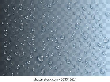 Realistic water drops. Horizontal mock up on transparent background. Monochrome vector illustration.