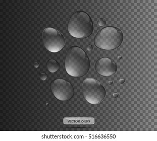 Realistic Water drops isolated on transparent background. Illustration vector 10 EPS.