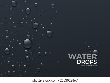 Realistic Water Drops on Black Background, Real Transparent Effect. Vector illustration EPS10