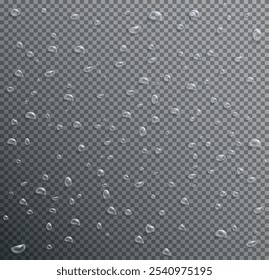 Realistic Water Drops on Transparent Background. Vector Illustration.