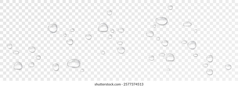 Realistic water drops on a transparent background. Drops of rain, condensation on the surface with reflection of light and shadow, vector png.