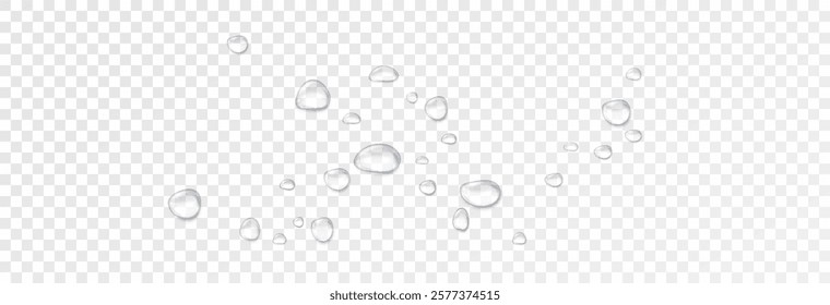 Realistic water drops on a transparent background. Drops of rain, condensation on the surface with reflection of light and shadow, vector png.