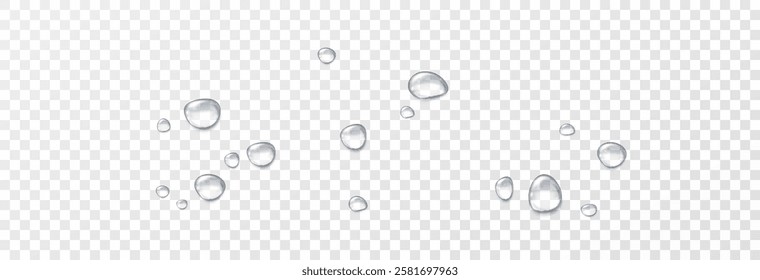 Realistic water drops on a transparent background. Drops of rain, condensation on the surface with reflection of light and shadow, vector png.