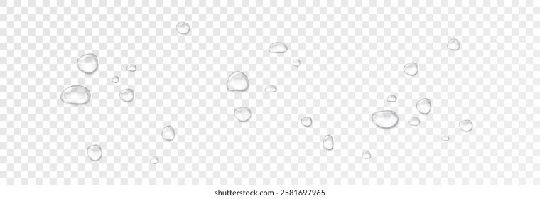 Realistic water drops on a transparent background. Drops of rain, condensation on the surface with reflection of light and shadow, vector png.
