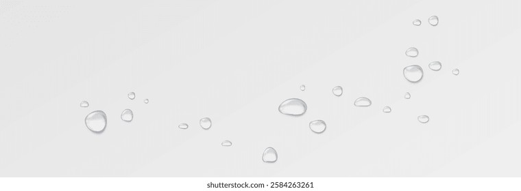 Realistic water drops on a transparent background. Drops of rain, condensation on the surface with reflection of light and shadow, vector png.