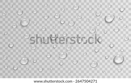 Realistic Water Drops on Transparent Background. Vector Condensation, Dew, Rain Droplets, Glass Surface