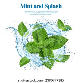 Realistic water splash with green mint leaves. Menthol flavor, fresh ice tea. Mint leaves fresh mouth wash, menthol natural soda or herbal tea frozen motion 3d vector splatters, cold drink ripples