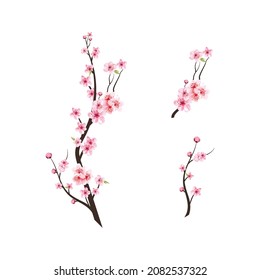 Realistic Watercolor Cherry Flower Vector. Cherry Blossom Branch With Pink Sakura Flower Blooming. Sakura Branch Vector On White Background. Cherry Blossom With Watercolor Sakura Flower.