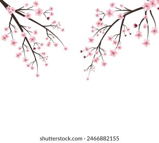 Realistic watercolor cherry flower vector. cherry blossom branch with blooming sakura flower. cherry blossom branch with sakura. watercolor flower. sakura branch vector on white background.
