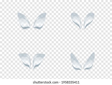 realistic waterdrop vectors isolated on transparency background ep87