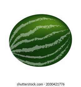 realistic watermelon fruit re-sizable vector art illustration gradient mesh