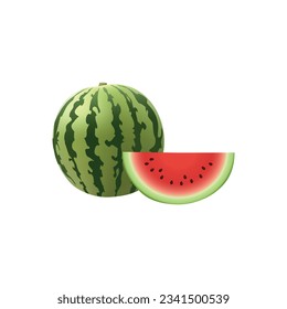 Realistic watermelon with slices isolated on white background. Vector illustration.