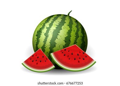 Realistic watermelon with slices isolated on white. Vector illustration