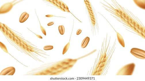 Realistic wheat ears background. Flying ripe spikelets with grains and seeds, focus and defocus, organic food agricultural culture, bakery and beer banner backdrop. Utter vector concept