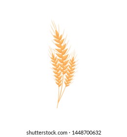Realistic wheat ears. Vector illustration on white background.