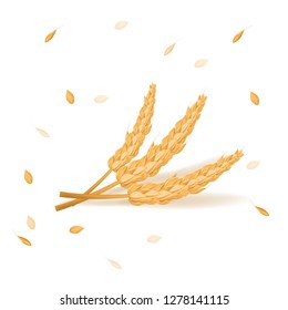 realistic wheat and ingredient vector, 3d wheat illustration