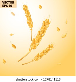 realistic wheat and ingredient vector, 3d wheat illustration