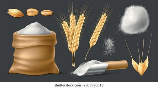 Realistic wheat products. Agricultural grain crop, isolated spikelets, grain and flour bag, harvest, main bread ingredient, burlap packaging with oat or rye. 3d elements, utter vector set