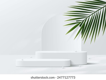 Realistic white 3D round podium background with arch backdrop, green palm leaf wall scene. Minimal mockup or abstract product display presentation, Stage showcase. Platforms vector geometric design.