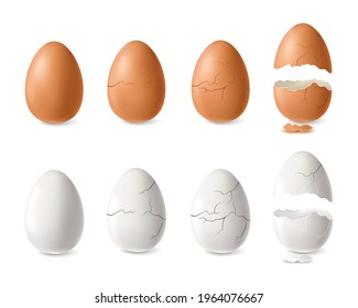 Realistic white and brown cracked and open egg set isolated vector illustration