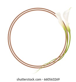 Realistic white calla lily, circle frame.
