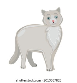 Realistic white cat on a white background - Vector illustration