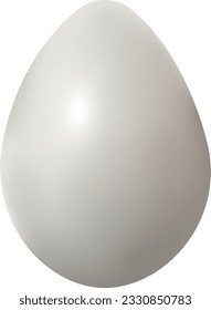 Realistic white chicken egg on transparent background