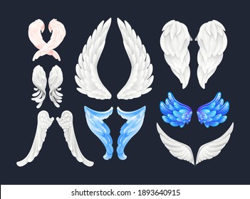 Realistic white and color wings isolated with 3D feathers on dark background vector illustration