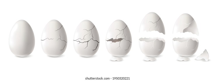 Realistic white cracked and open egg set isolated vector illustration