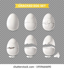 Realistic white cracked and open egg transparent set isolated vector illustration