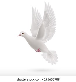 2,211 Realistic dove Images, Stock Photos & Vectors | Shutterstock