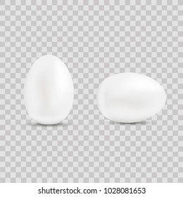 Realistic white egg for Easter on transparent background. Vector
