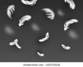 Realistic white feather decorated on transparent background
