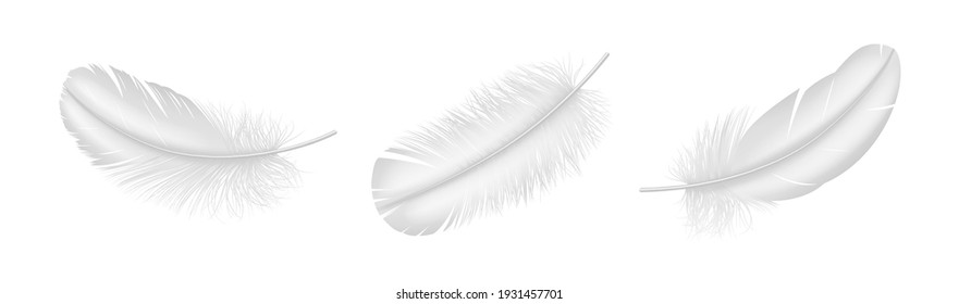 Realistic white feather set closeup isolated on white background. Detailed fluffy bird plume in 3d style. Vector illustration