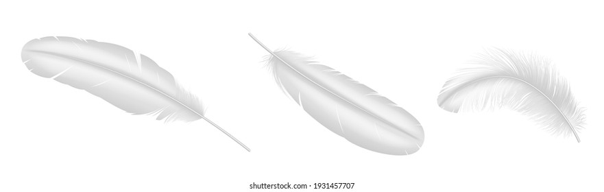 Realistic white feathers. Birds plumage, fluffy twirled feather isolated on white background. Goose animal plume set. 3d vector illustration