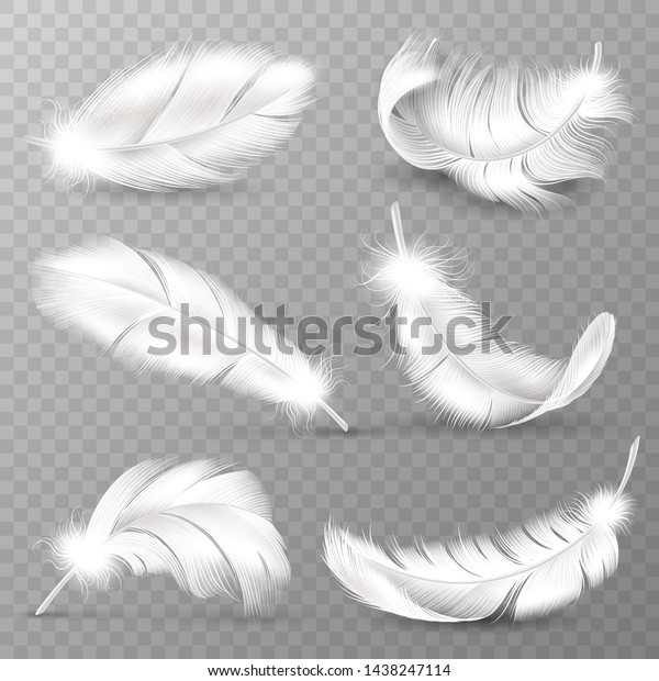 本物の白い羽 鳥は羽毛を生やし ふわふわの羽は落ち 飛ぶ天使の羽は羽毛 を生やした リアルな分離型ベクター画像易透明なガチョウ動物のプルームのロゴセット のベクター画像素材 ロイヤリティフリー
