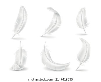 Realistic white feathers. Soft and fluffy birds and angel wings elements. Natural pillow filler. Differently curved plumage. Avian fuzz. Goose or swan quills. Vector